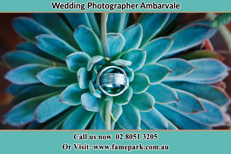 Photo of the wedding ring design at the top of the plant Ambarvale NSW 2560