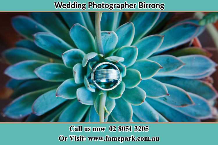 Photo of the wedding ring design at the top of the plant Birrong NSW 2143