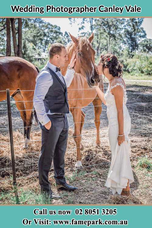 Photo of the Groom and the Bride caressing a horse Canley Vale NSW 2166